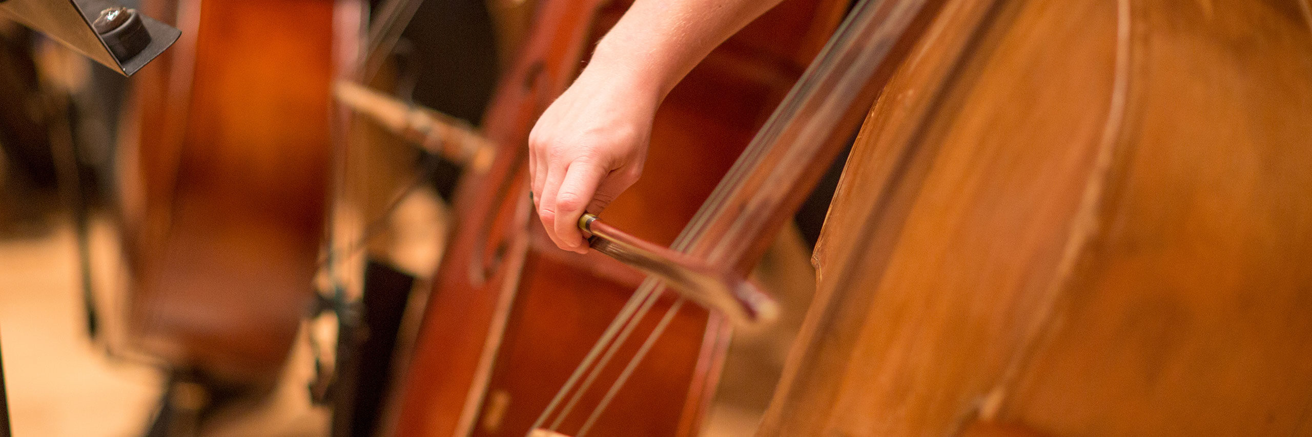 Cellists drag their bows across the strings of their cellos.