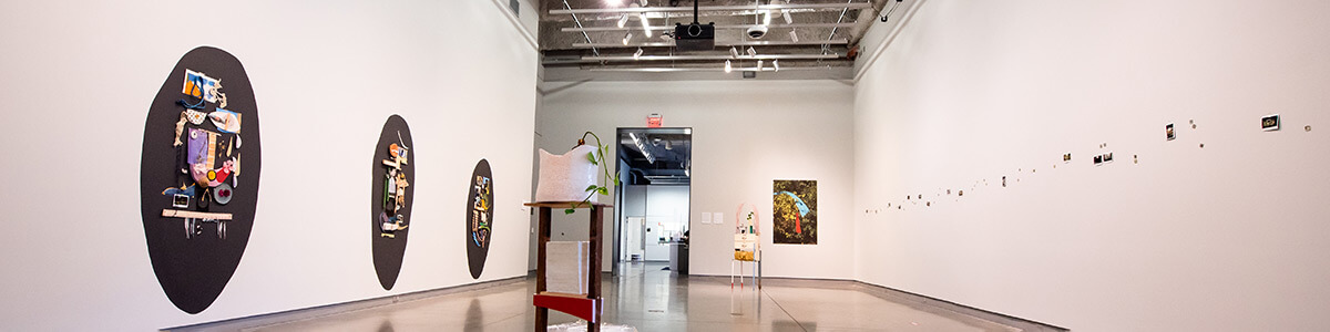 University Galleries